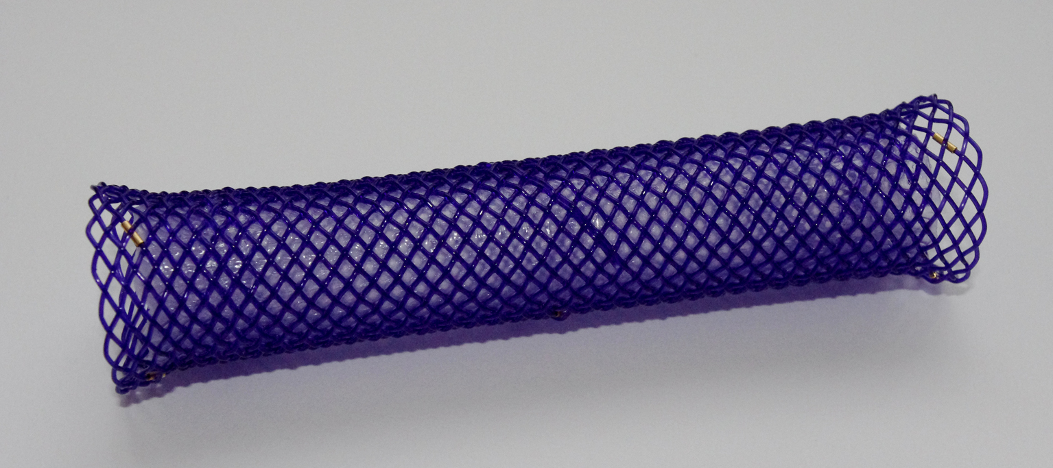 krytý biodegradabilní stent